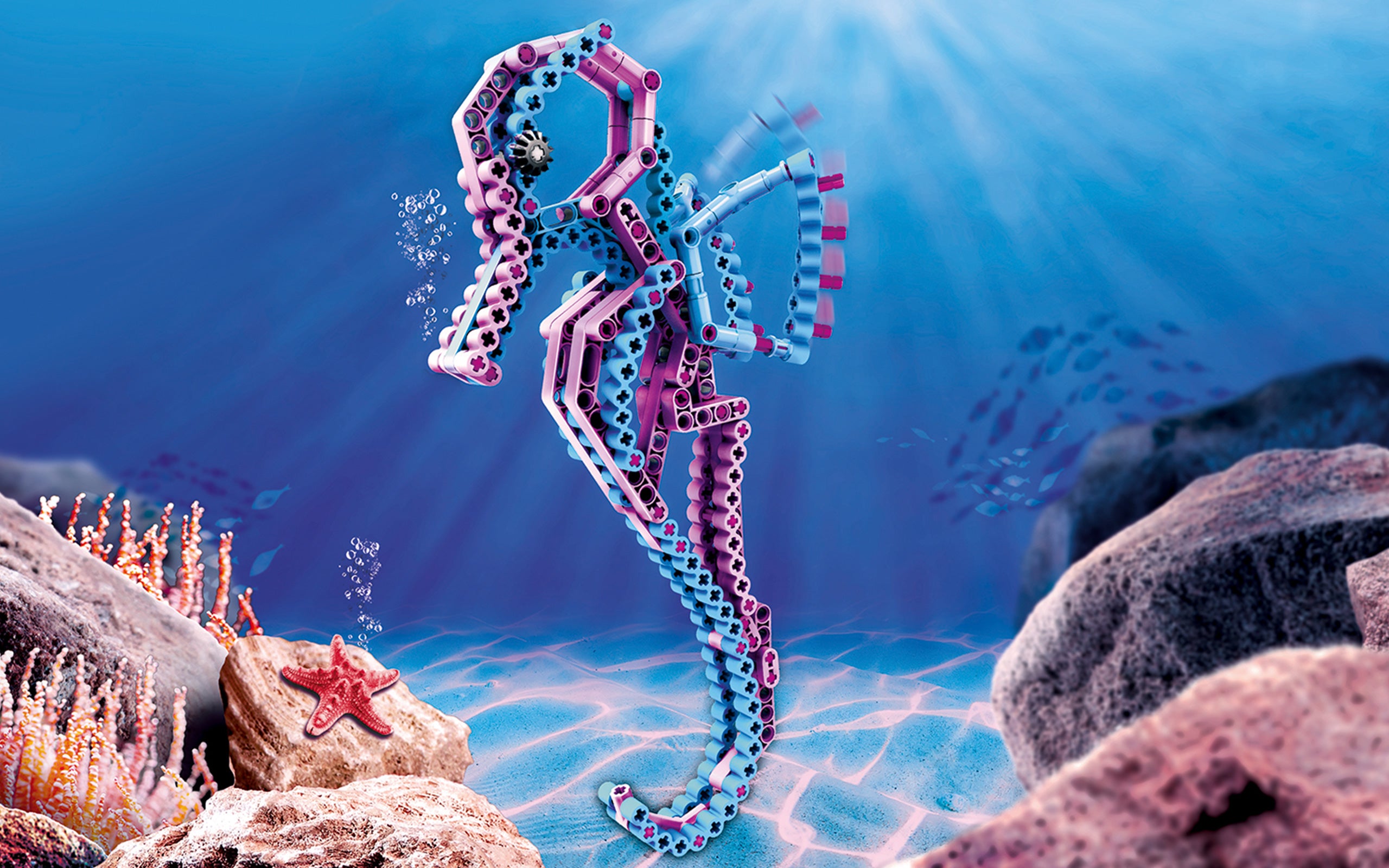 cbionic Seepferdchen